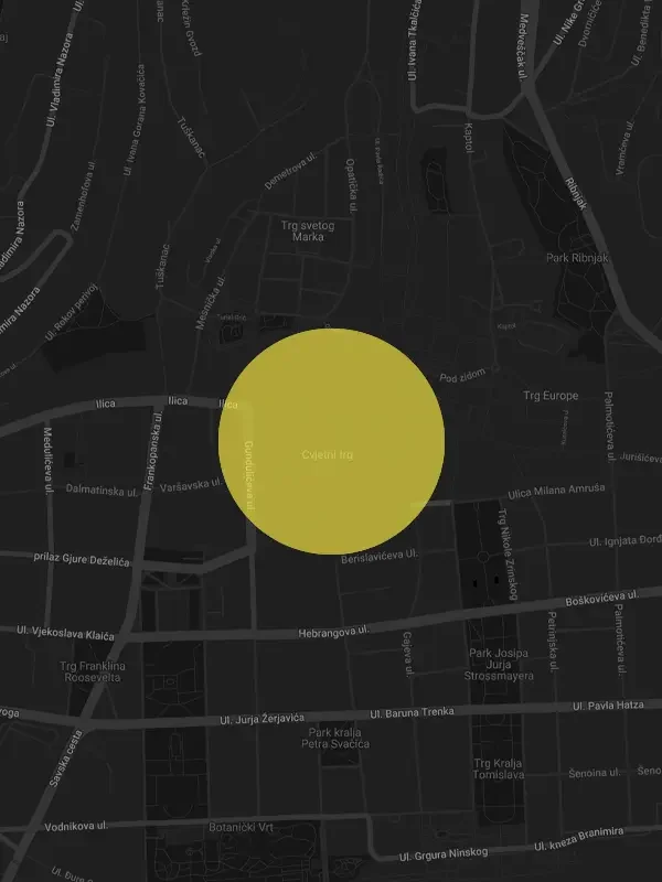 map with pin on the location